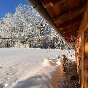  Chalet Alpenchalet Kogel Deutschland
